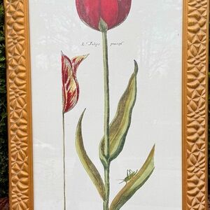 Red Tulipa Precox Wall Art with Gold Frame. PICK UP ONLY near Duluth GA.